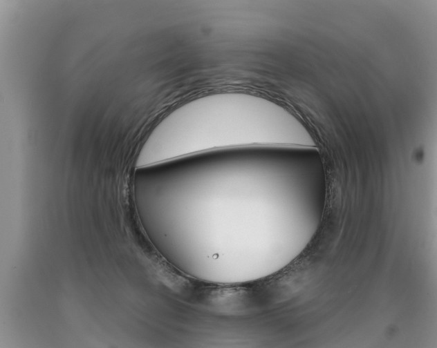 X0000090710274200707200958
