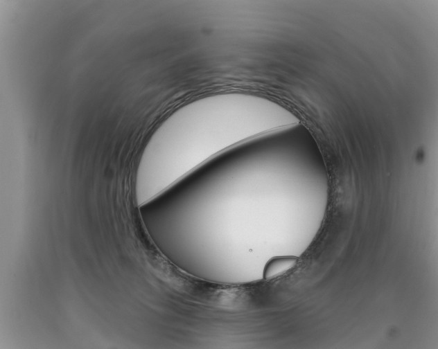 X0000090710275200707200958