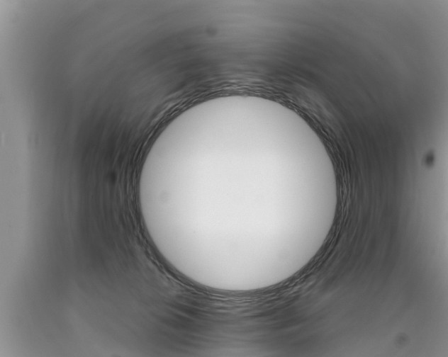 X0000090710276200707200958