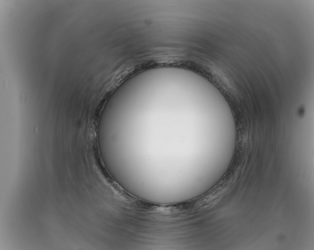 X0000090710277200707200958