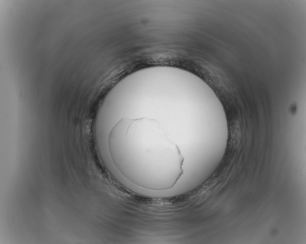 X0000090710278200707200958