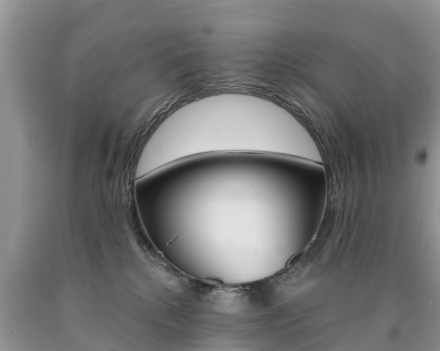X0000090710280200707200958