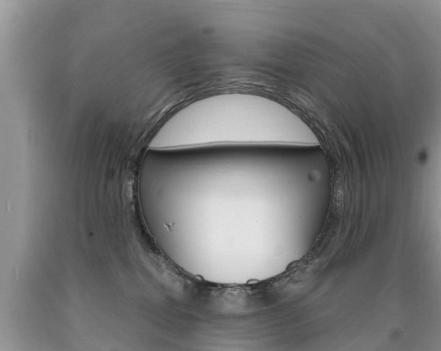 X0000090710282200707200958
