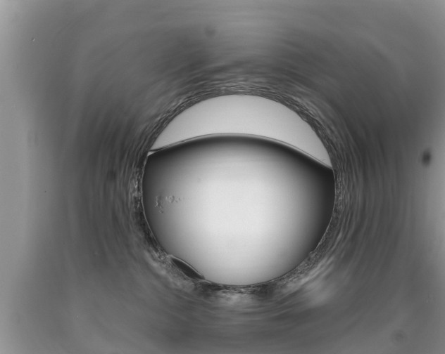 X0000090710284200707200958