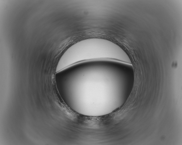 X0000090710288200707200958