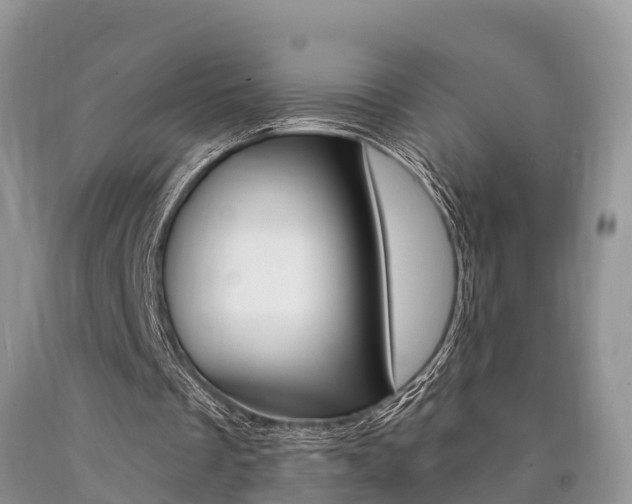 X0000090710289200707200957