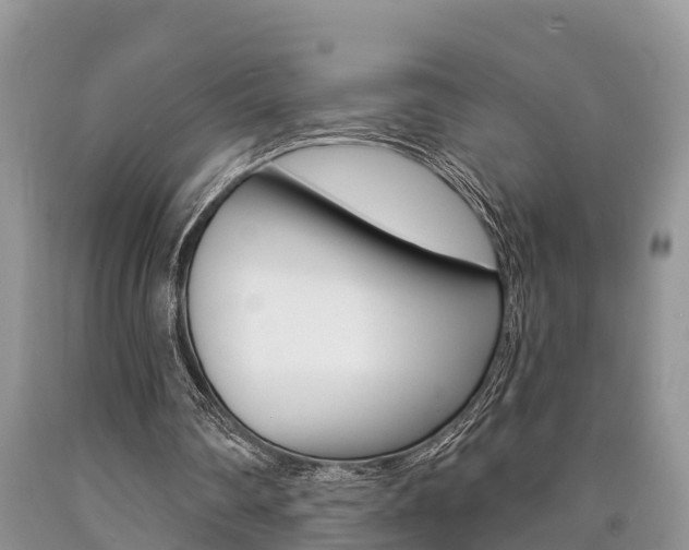 X0000090710290200707200957