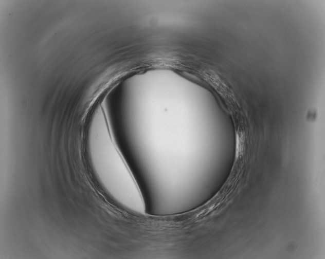 X0000090710291200707200957