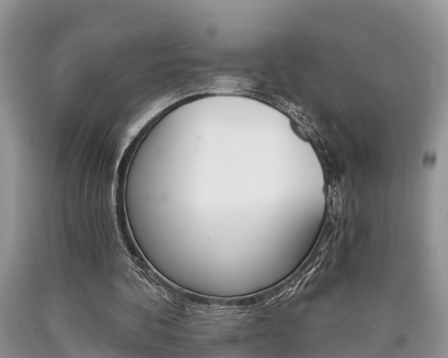X0000090710292200707200957