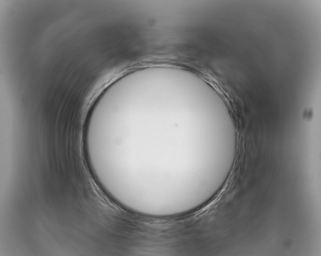 X0000090710293200707200957