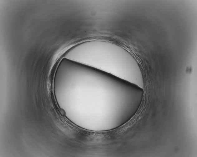 X0000090710294200707200957