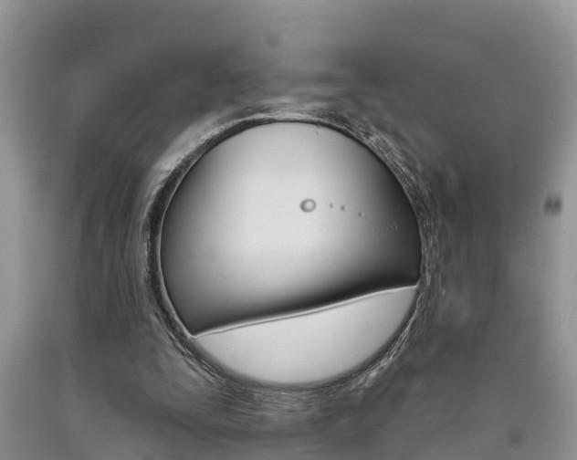 X0000090710295200707200957