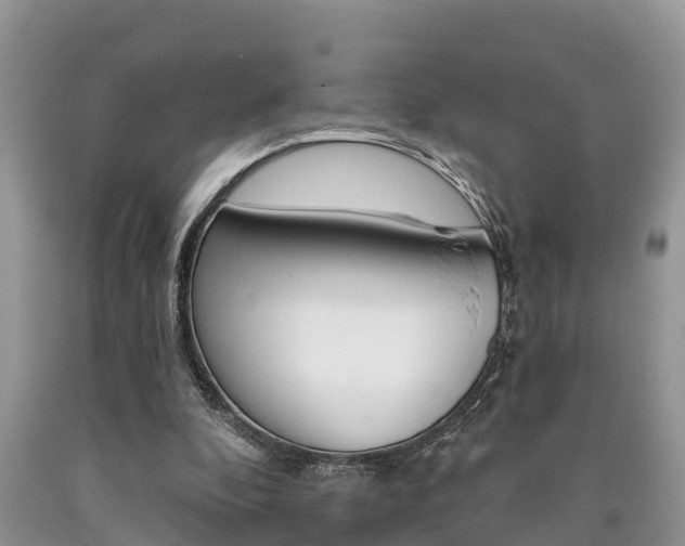 X0000090710296200707200957