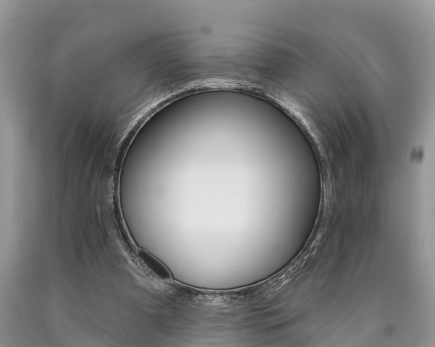 X0000090710297200707200957