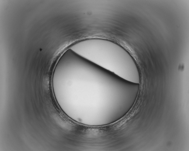 X0000090710298200707200957