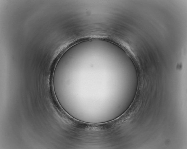 X0000090710299200707200957