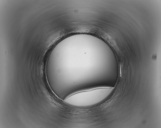 X0000090710300200707200957