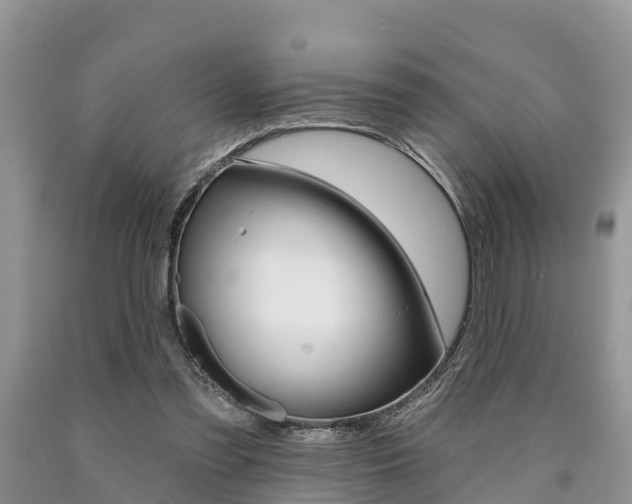 X0000090710301200707200957