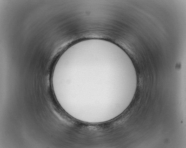 X0000090710302200707200957