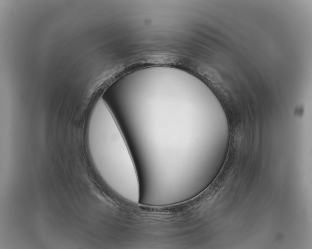 X0000090710303200707200957