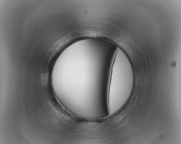 X0000090710304200707200957