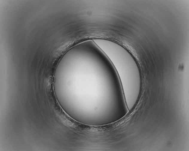 X0000090710305200707200957