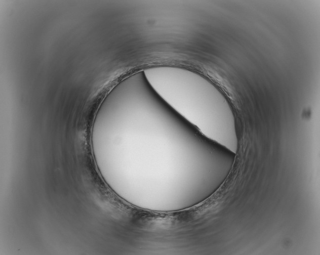 X0000090710306200707200957