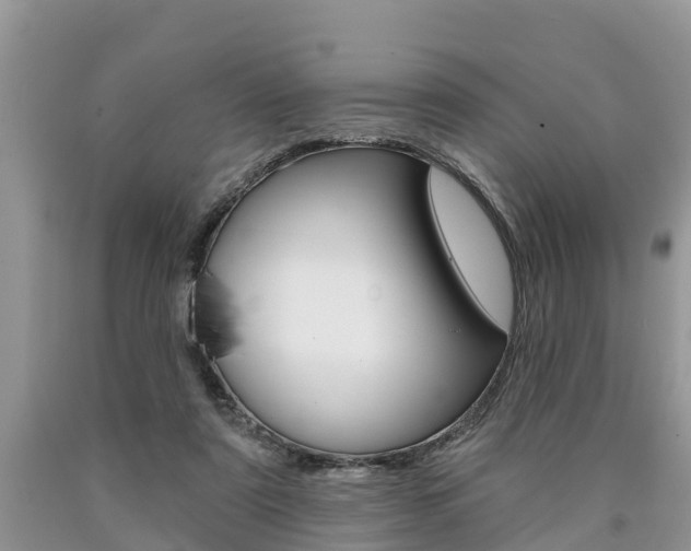 X0000090710307200707200957