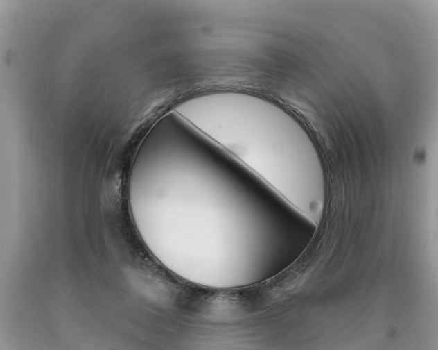 X0000090710308200707200957