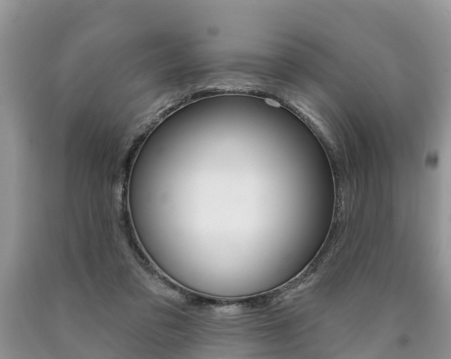 X0000090710309200707200957
