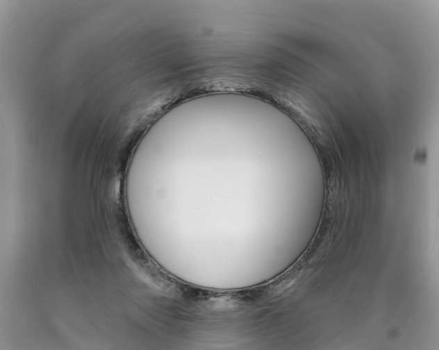 X0000090710310200707200957