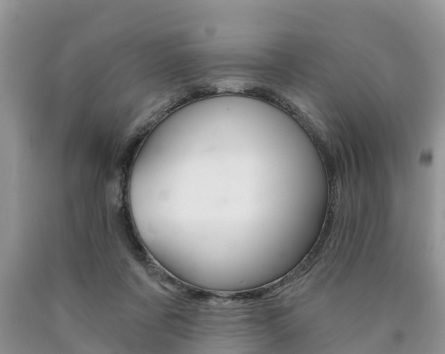 X0000090710311200707200957