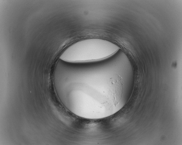 X0000090710312200707200957