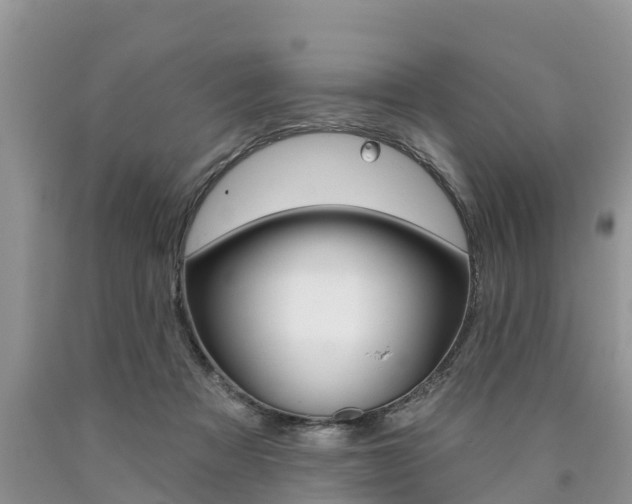 X0000090710313200707200957