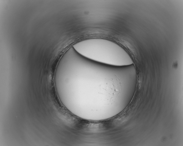 X0000090710314200707200957