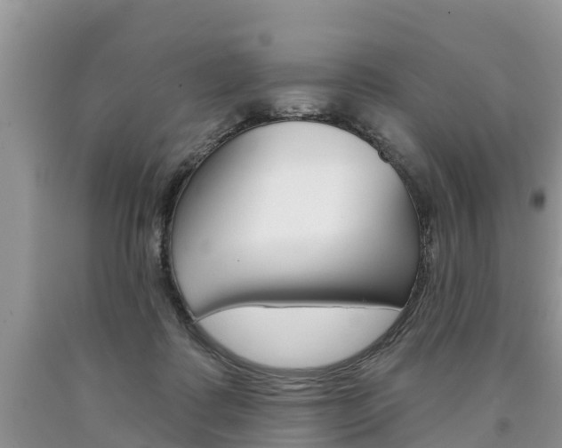 X0000090710315200707200957