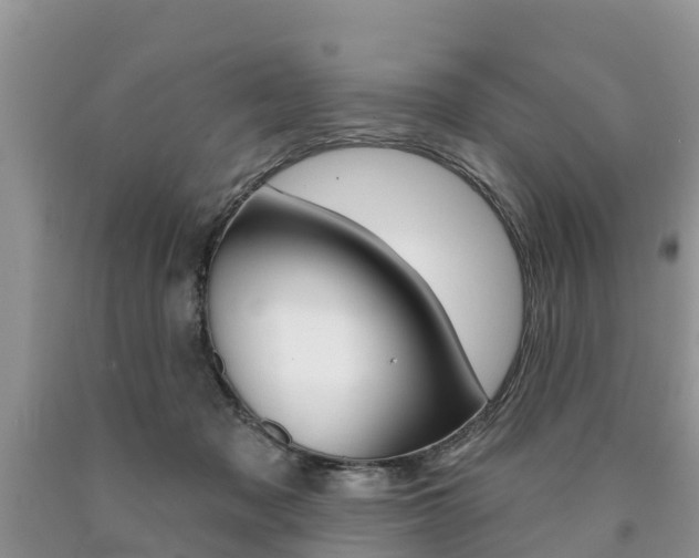 X0000090710317200707200957