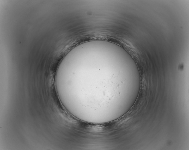 X0000090710318200707200957