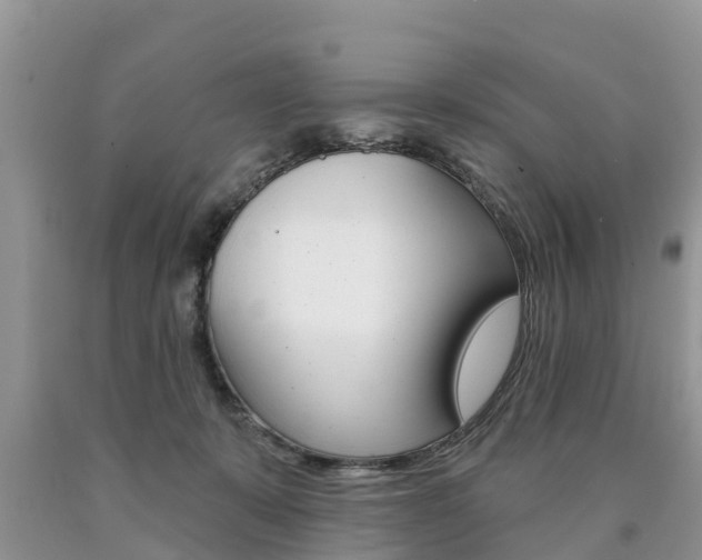 X0000090710319200707200957