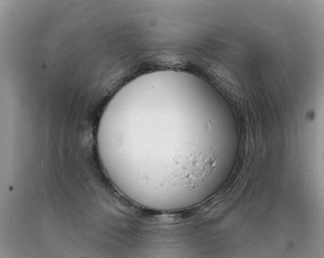 X0000090710320200707200957