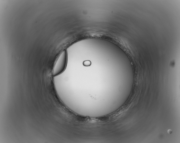 X0000090710321200707200957