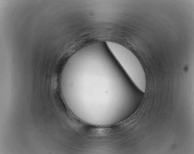 X0000090710323200707200957