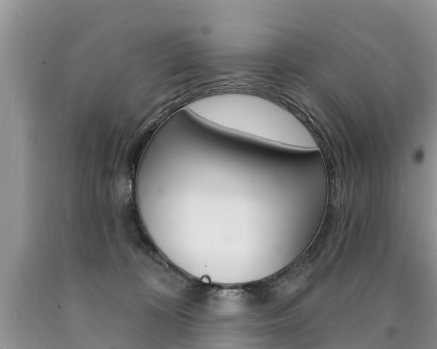 X0000090710324200707200957