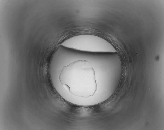 X0000090710326200707200957