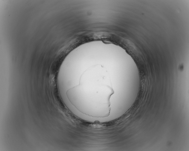 X0000090710327200707200957