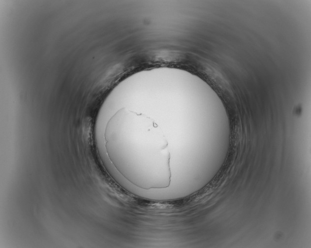 X0000090710328200707200957