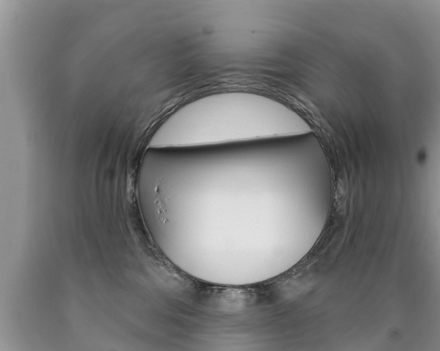 X0000090710330200707200957