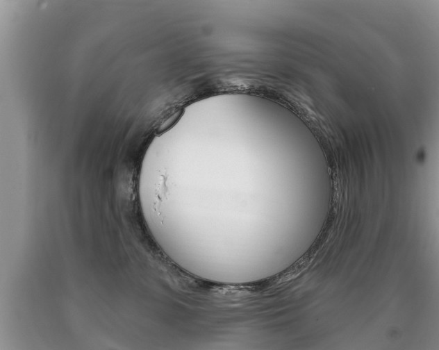 X0000090710331200707200957