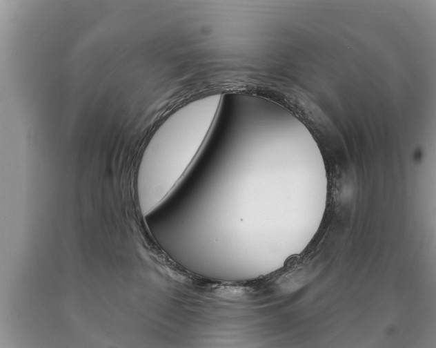 X0000090710332200707200957