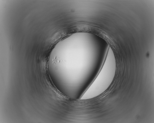 X0000090710333200707200957